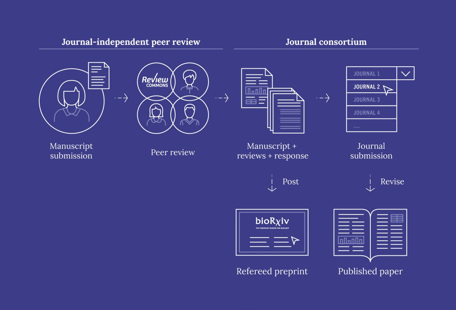 New Peer Review Model Pushes for Transparency and Efficiency in Science ...